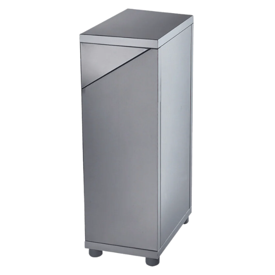 CABINET STANDARD