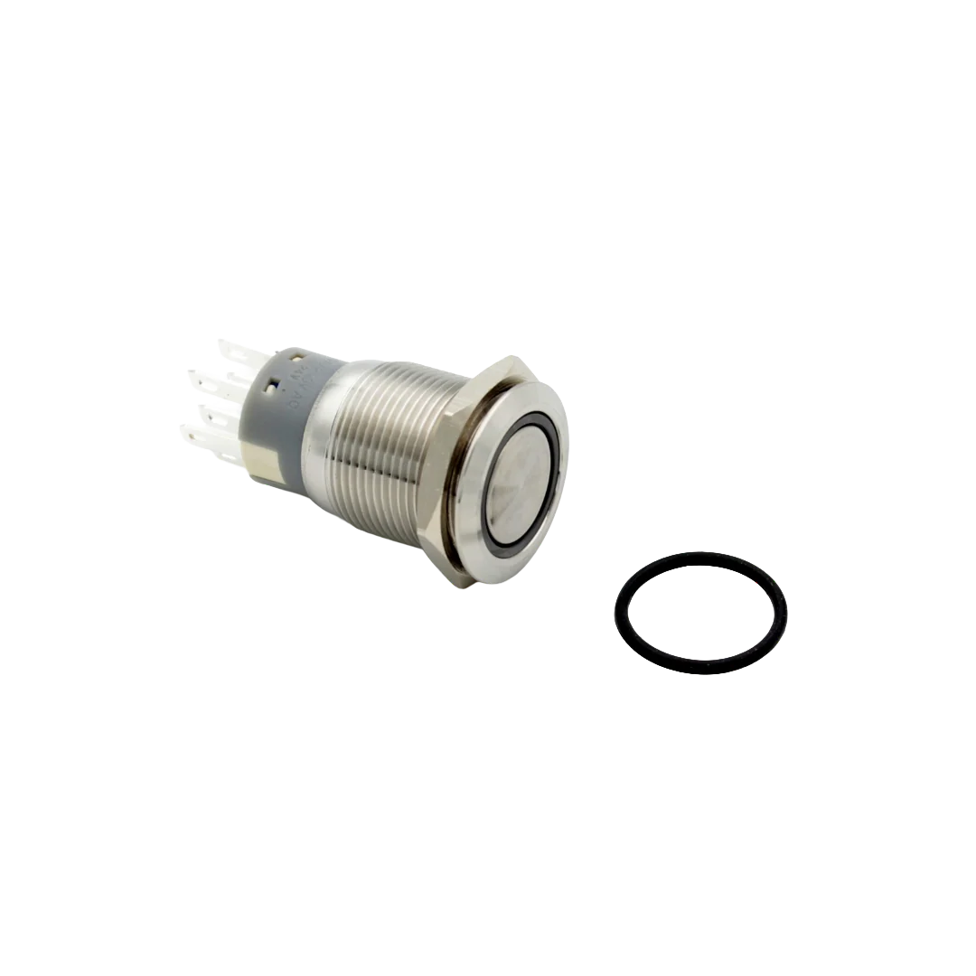 RIC. PULSANTE INOX LUCE BLU