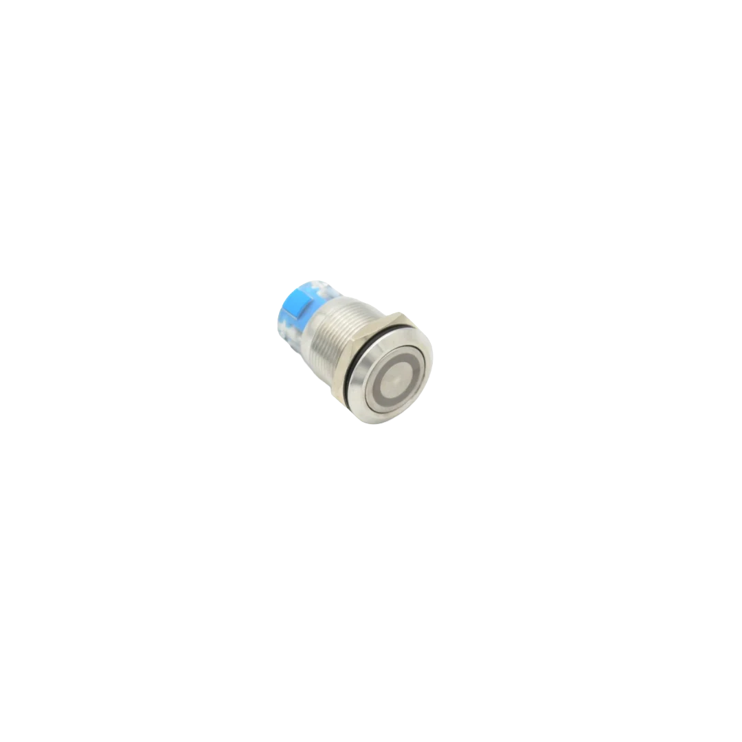 RIC. PULSANTE INOX NO LUCE INC. NERA AMBIENT